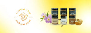 Best Honey for Immunity and Energy