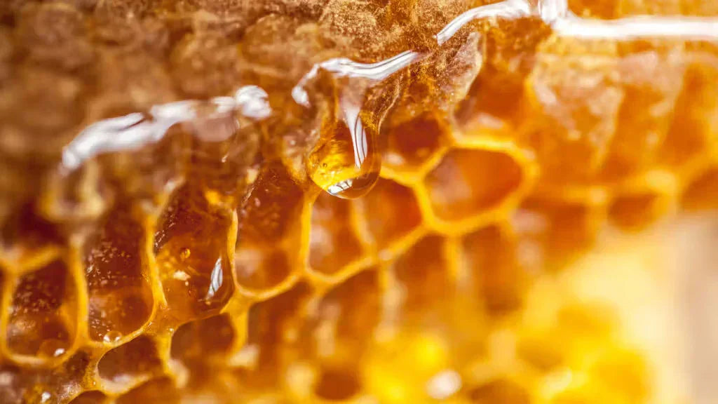 Is Mountain Honey Better Than Normal Honey?