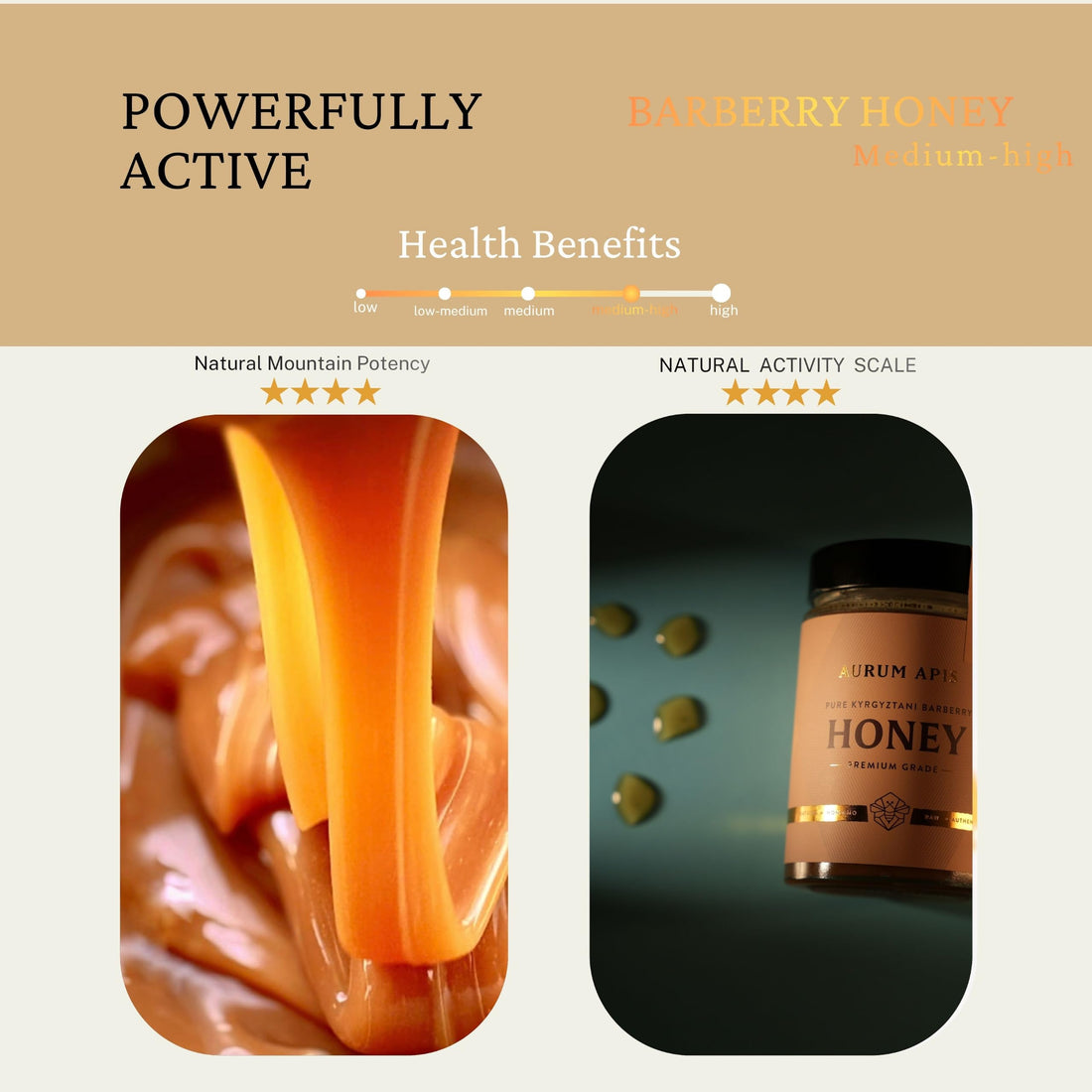 Kyrgyzstani Barberry Honey 100% Raw Organic Pure Honey