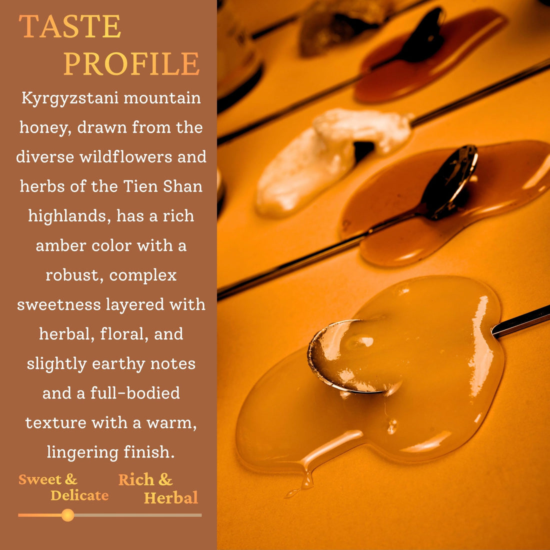 Kyrgyzstani Mountain Honey 100% Raw Organic Pure Honey